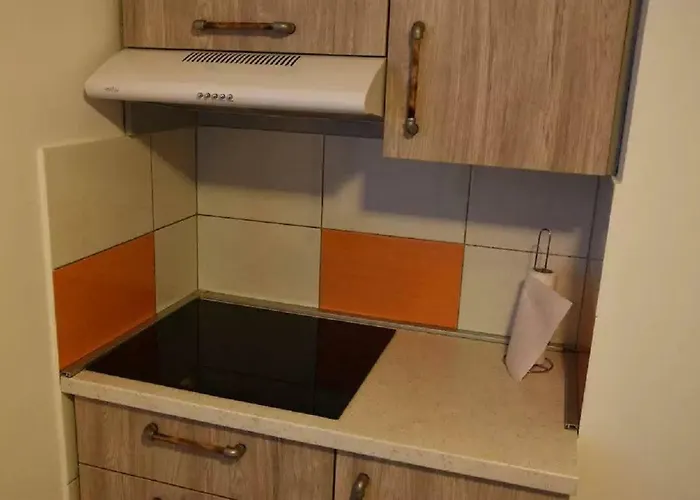 Apartament Fabrka Lublana